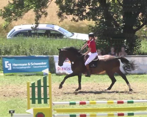 Reitturnier Herrenberg-Gültstein 2016