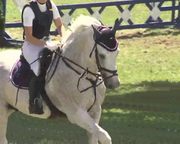Reitturnier Herrenberg-Gültstein 2016