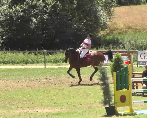 Reitturnier Herrenberg-Gültstein 2016