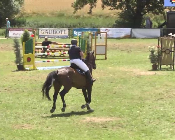 Reitturnier Herrenberg-Gültstein 2016