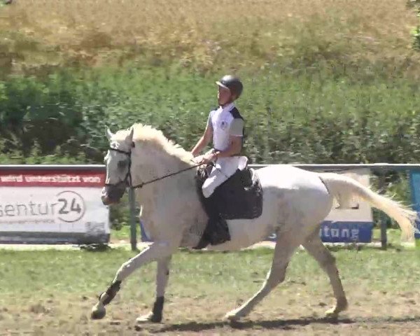 Reitturnier Herrenberg-Gültstein 2016