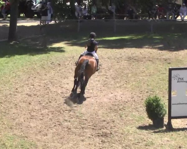 Reitturnier Herrenberg-Gültstein 2016