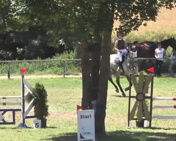 Reitturnier Herrenberg-Gültstein 2016