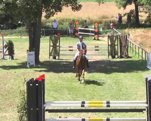 Reitturnier Herrenberg-Gültstein 2016