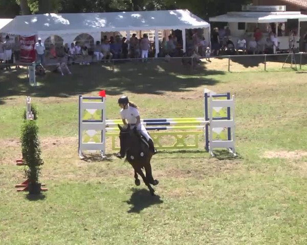 Reitturnier Herrenberg-Gültstein 2016