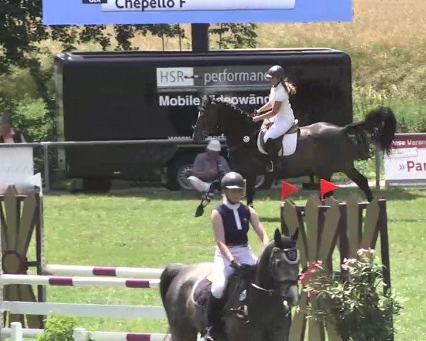 Reitturnier Herrenberg-Gültstein 2016
