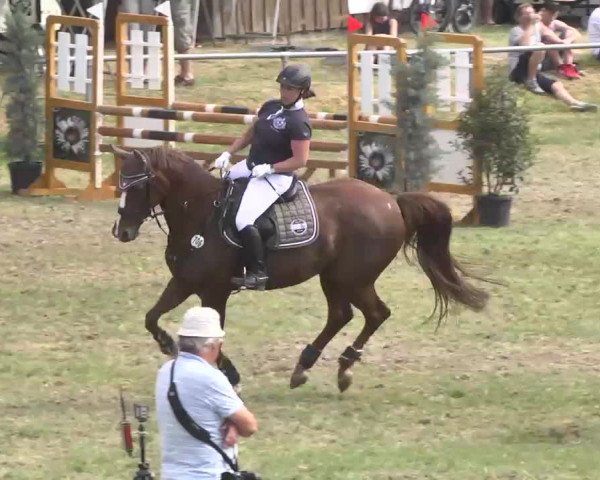 Reitturnier Herrenberg-Gültstein 2016