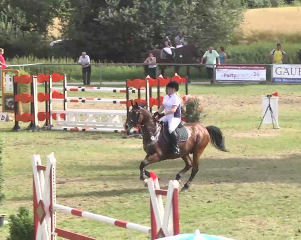Reitturnier Herrenberg-Gültstein 2016