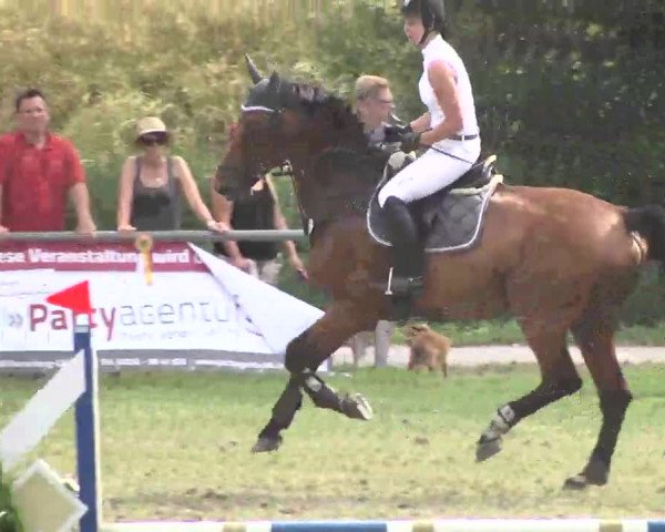 Reitturnier Herrenberg-Gültstein 2016