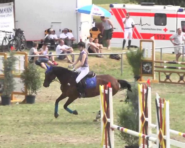 Reitturnier Herrenberg-Gültstein 2016