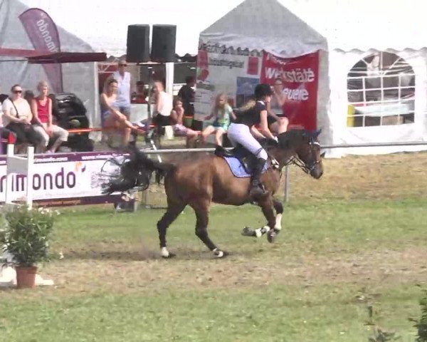 Reitturnier Herrenberg-Gültstein 2016