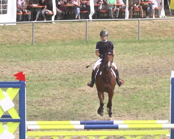 Reitturnier Herrenberg-Gültstein 2016