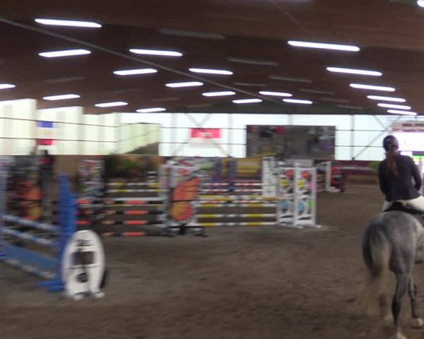 Große Jumping-Trophy Pausin 2021