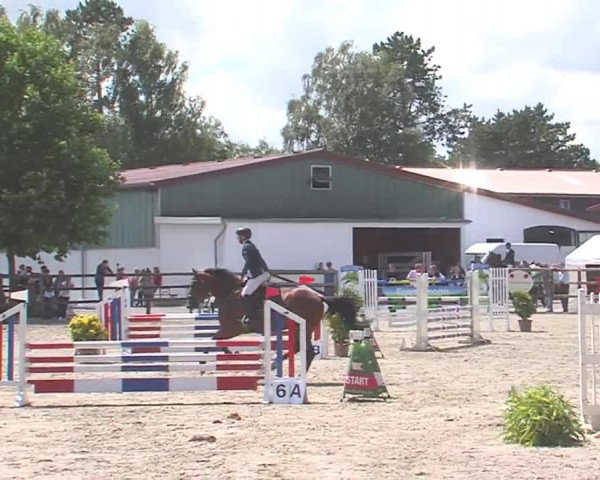 Reitturnier HH-Klein Offenseth/Hell-Stallion-Stud 2016