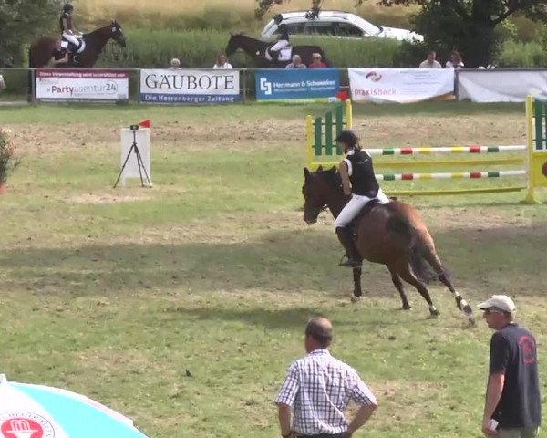 Reitturnier Herrenberg-Gültstein 2016