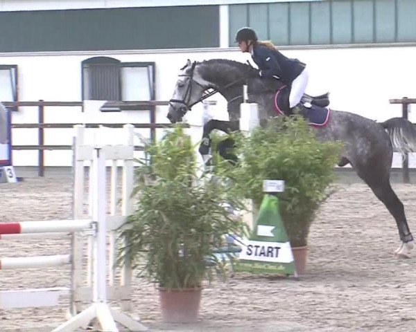 Reitturnier HH-Klein Offenseth/Hell-Stallion-Stud 2016