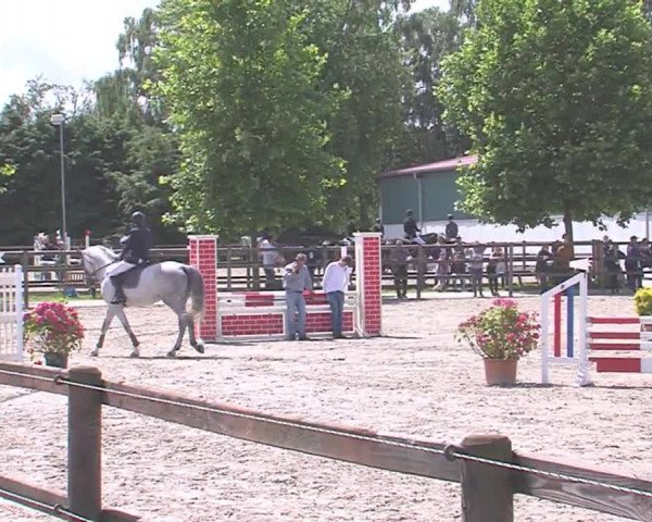 Reitturnier HH-Klein Offenseth/Hell-Stallion-Stud 2016