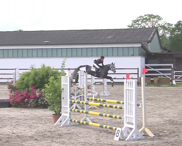 Reitturnier HH-Klein Offenseth/Hell-Stallion-Stud 2016