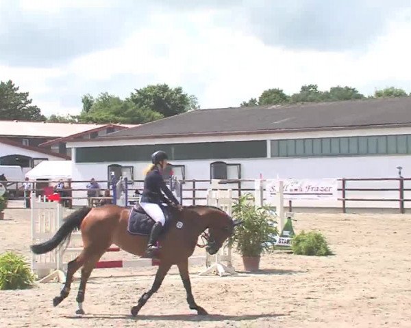 Reitturnier HH-Klein Offenseth/Hell-Stallion-Stud 2016