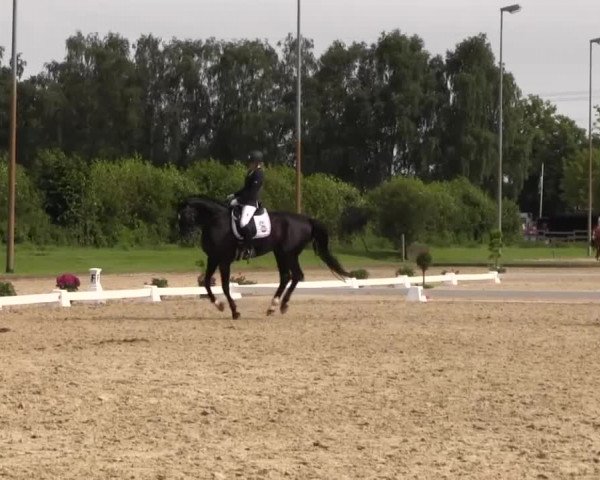 Reitturnier Münster-Roxel 2016