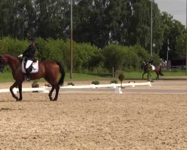 Reitturnier Münster-Roxel 2016