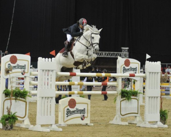 jumper Chartbreaker 2 (Oldenburg show jumper, 2003, from Come On)