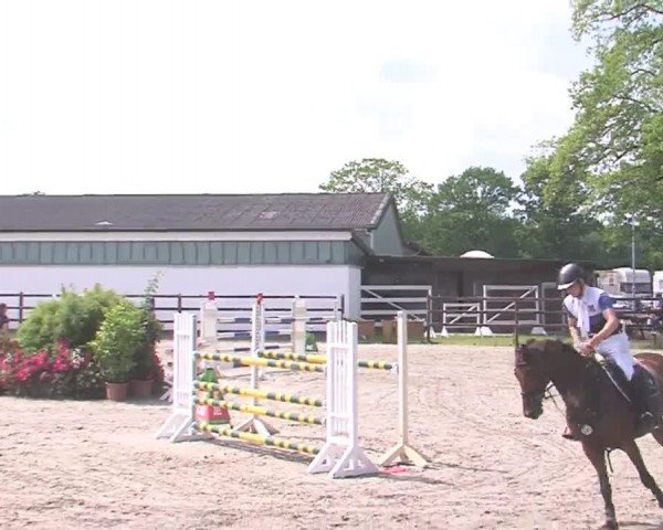 Reitturnier HH-Klein Offenseth/Hell-Stallion-Stud 2016