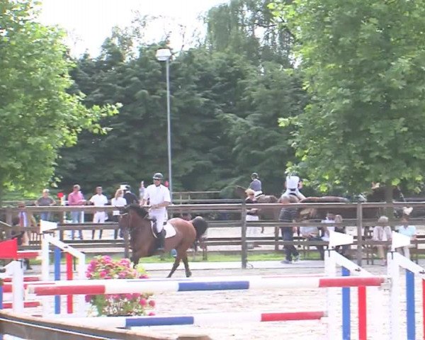 Reitturnier HH-Klein Offenseth/Hell-Stallion-Stud 2016