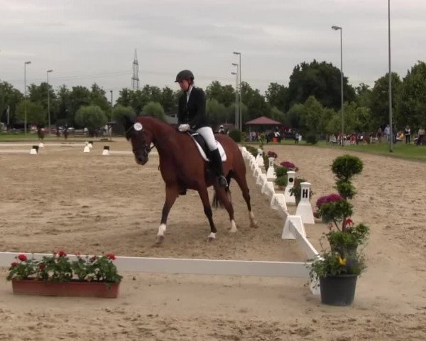 Reitturnier Münster-Roxel 2016
