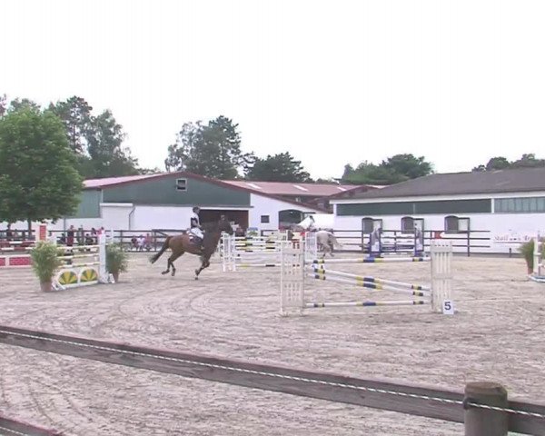 Reitturnier HH-Klein Offenseth/Hell-Stallion-Stud 2016