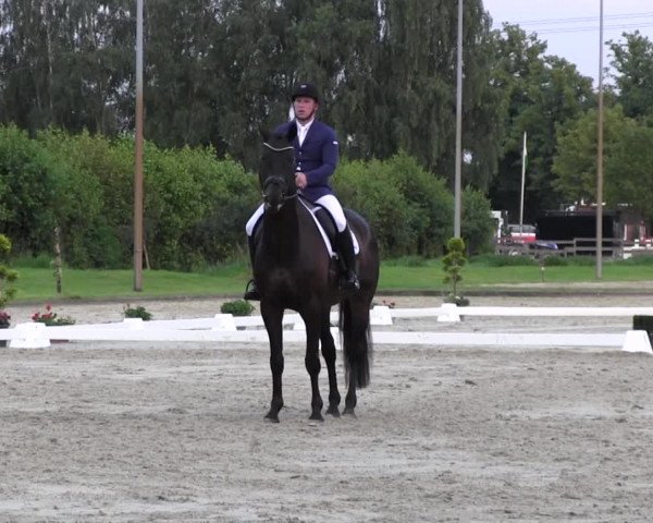 Reitturnier Münster-Roxel 2016