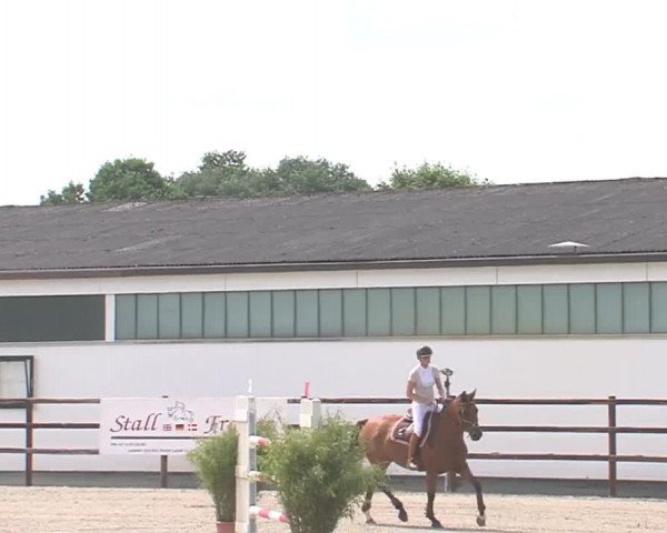 Reitturnier HH-Klein Offenseth/Hell-Stallion-Stud 2016