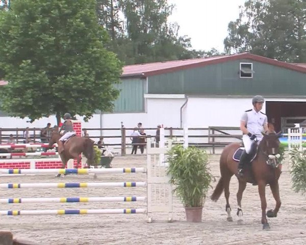 Reitturnier HH-Klein Offenseth/Hell-Stallion-Stud 2016