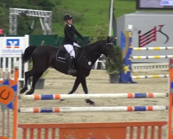 Reitturnier Lindlar-Süttenbach 2016