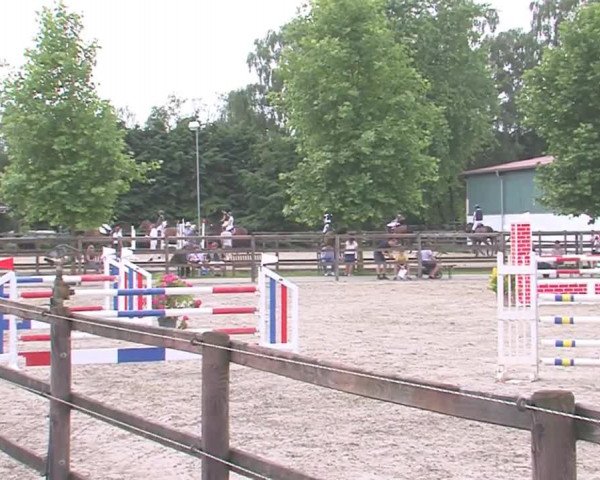 Reitturnier HH-Klein Offenseth/Hell-Stallion-Stud 2016