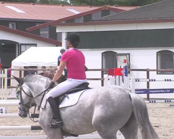 Reitturnier HH-Klein Offenseth/Hell-Stallion-Stud 2016