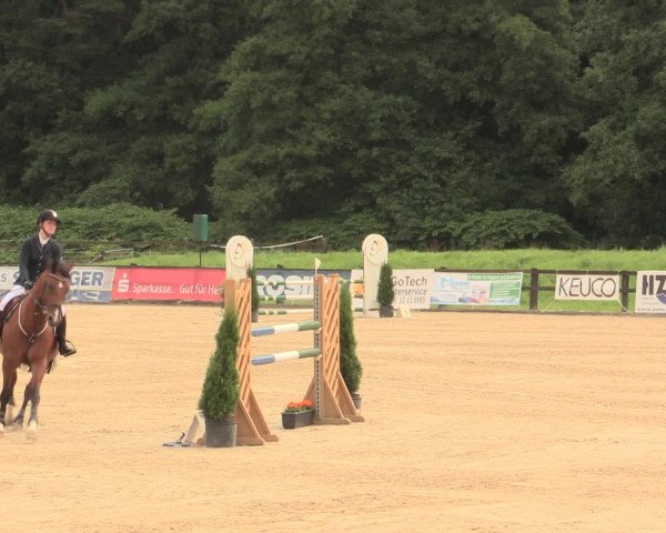 Reitturnier Hemer-Oese an der Edelburg 2016