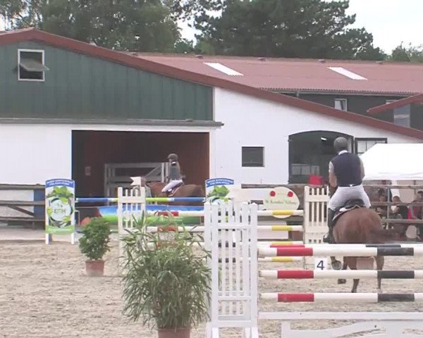 Reitturnier HH-Klein Offenseth/Hell-Stallion-Stud 2016