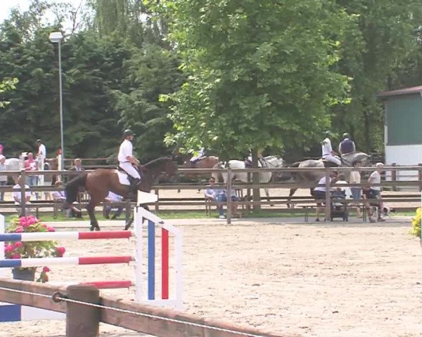 Reitturnier HH-Klein Offenseth/Hell-Stallion-Stud 2016