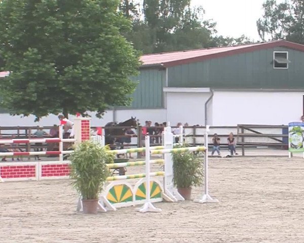 Reitturnier HH-Klein Offenseth/Hell-Stallion-Stud 2016