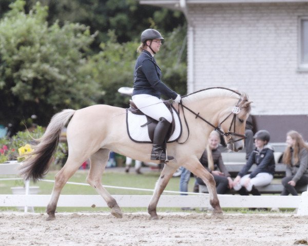 horse Ciriam (Fjord Horse, 2006, from Reinar)