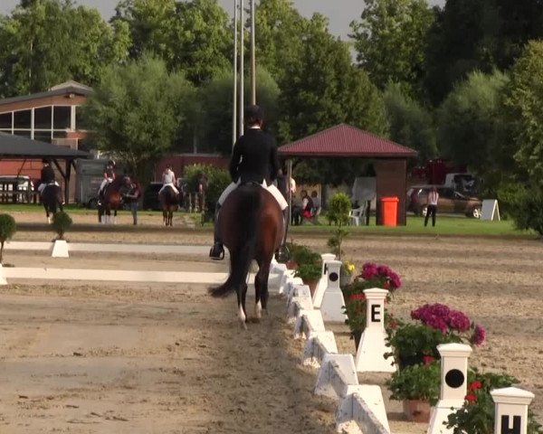 Reitturnier Münster-Roxel 2016