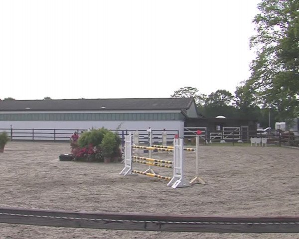 Reitturnier HH-Klein Offenseth/Hell-Stallion-Stud 2016