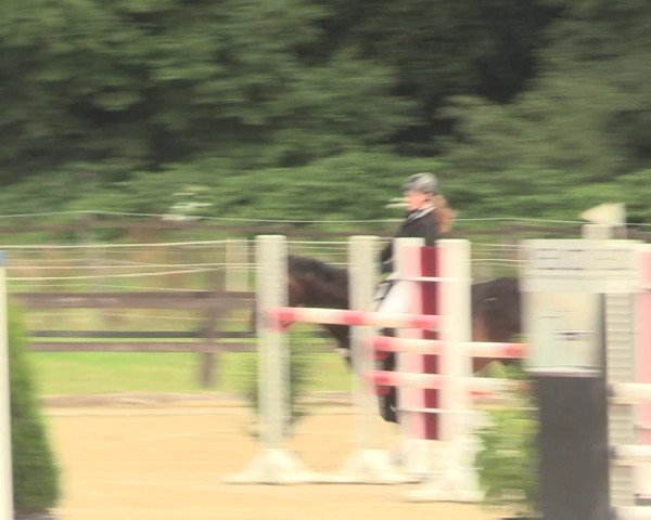 Reitturnier Hemer-Oese an der Edelburg 2016