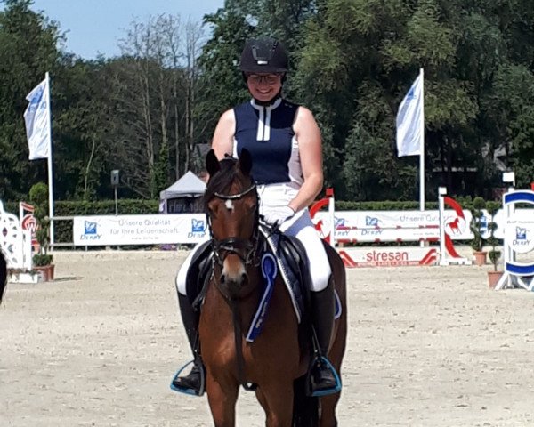 Springpferd Twix der Kleine (Deutsches Reitpony, 2014, von Totilas)