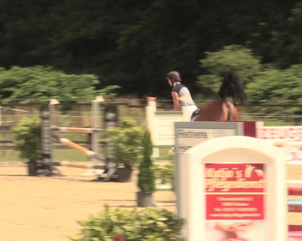 Reitturnier Hemer-Oese an der Edelburg 2016