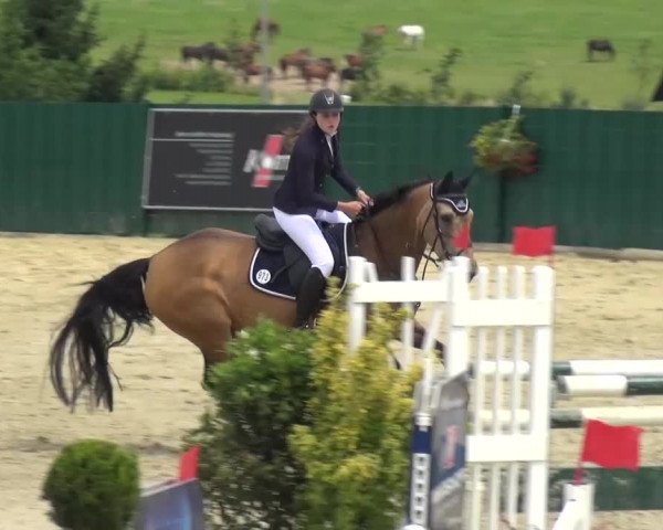 Reitturnier Lindlar-Süttenbach 2016