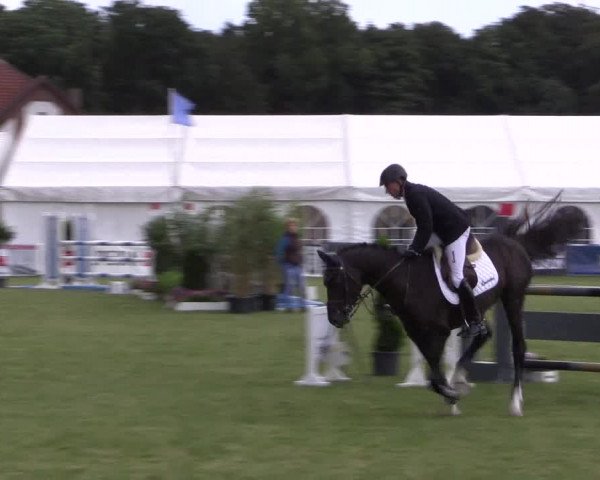 FEI Reitturnier Steinhagen (GER) 2016