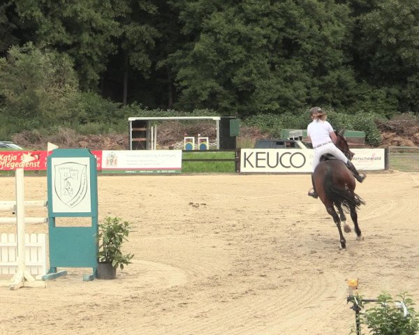Reitturnier Hemer-Oese an der Edelburg 2016