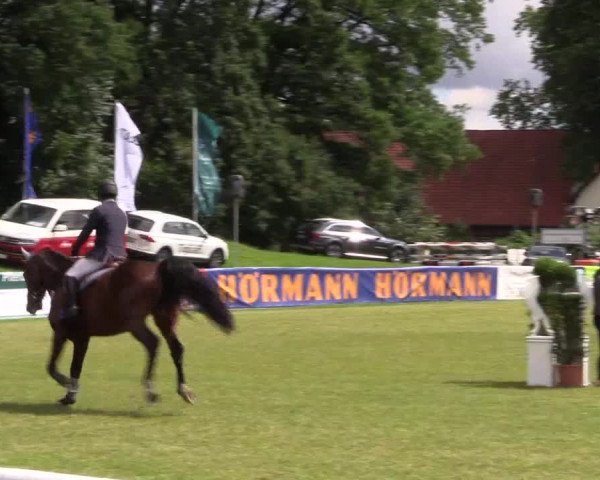 FEI Reitturnier Steinhagen (GER) 2016